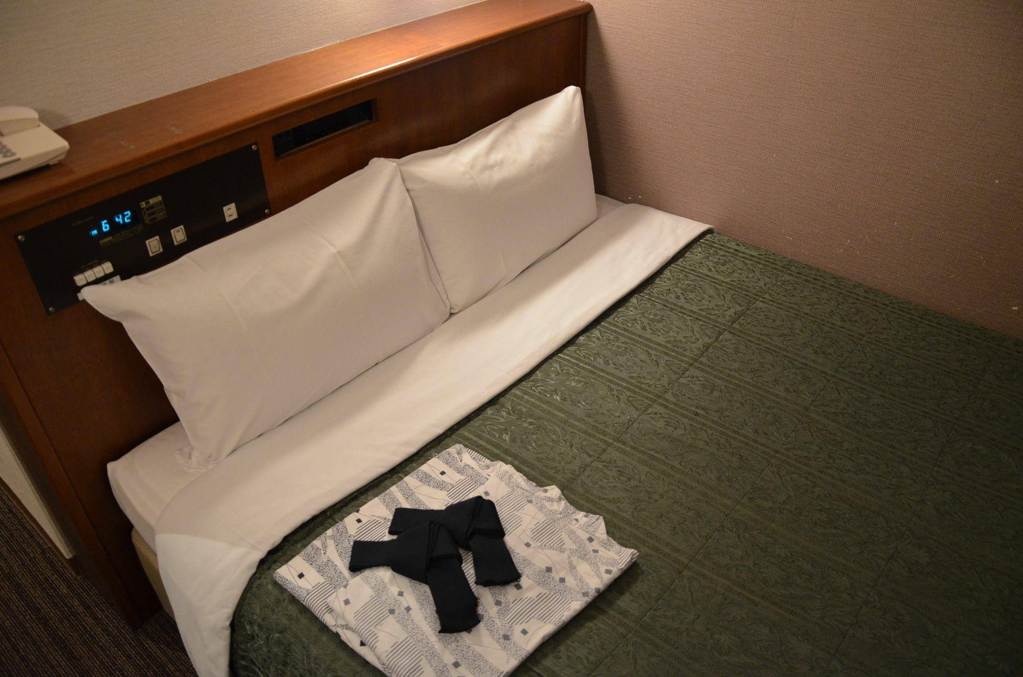 Hikone Biwako Hotel Exterior foto
